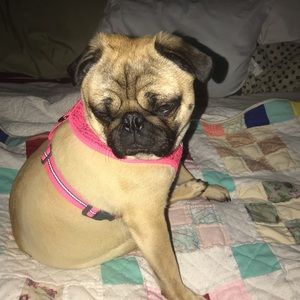 Meet your Posher, Debra